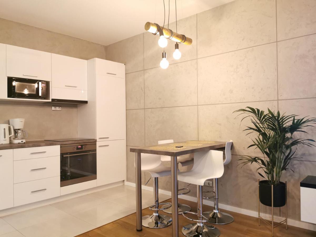Platynowy W Centrum Miasta Apartment *
